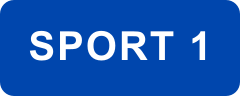 Logo Sport 1