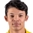 T. Usta