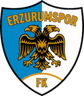 Logo Erzurumspor FK