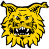Logo Ilves