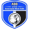 Logo Black Bulls Maputo