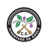 Logo Juventude Gaula