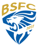 Logo Union Brescia