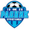 Logo Radnik Surdulica