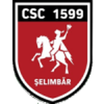 Logo Viitorul Şelimbăr