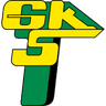 Logo Górnik Łęczna