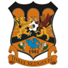 Logo Three Bridges