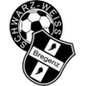 Logo Schwarz-Weiß Bregenz