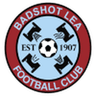 Logo Badshot Lea