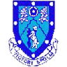Logo Rugby Town